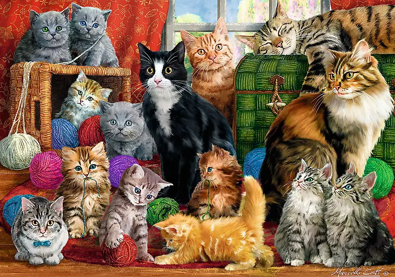 Puzzle Cat meeting