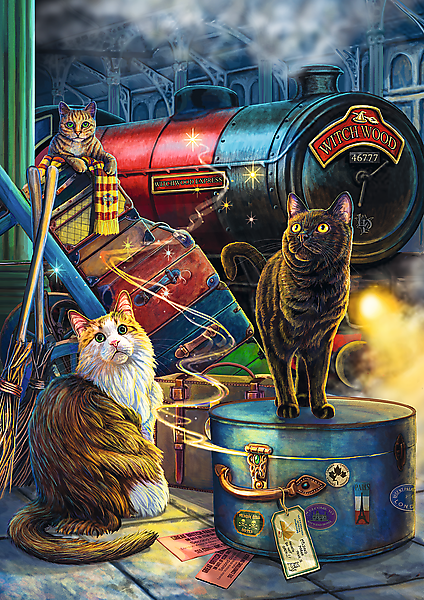 Puzzle Premium Plus: Lisa Parker - Witches Express