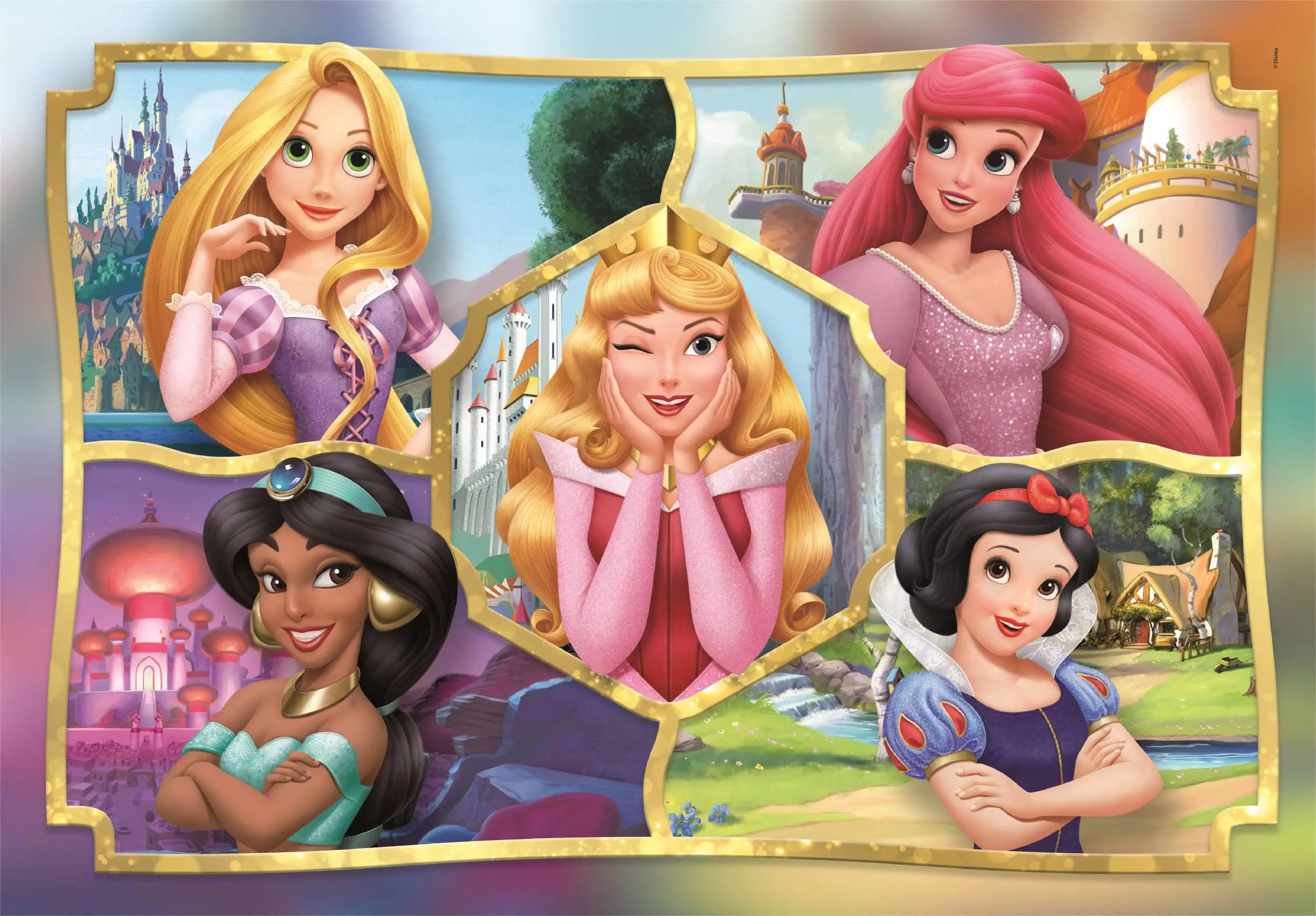 Puzzle Collage princesse