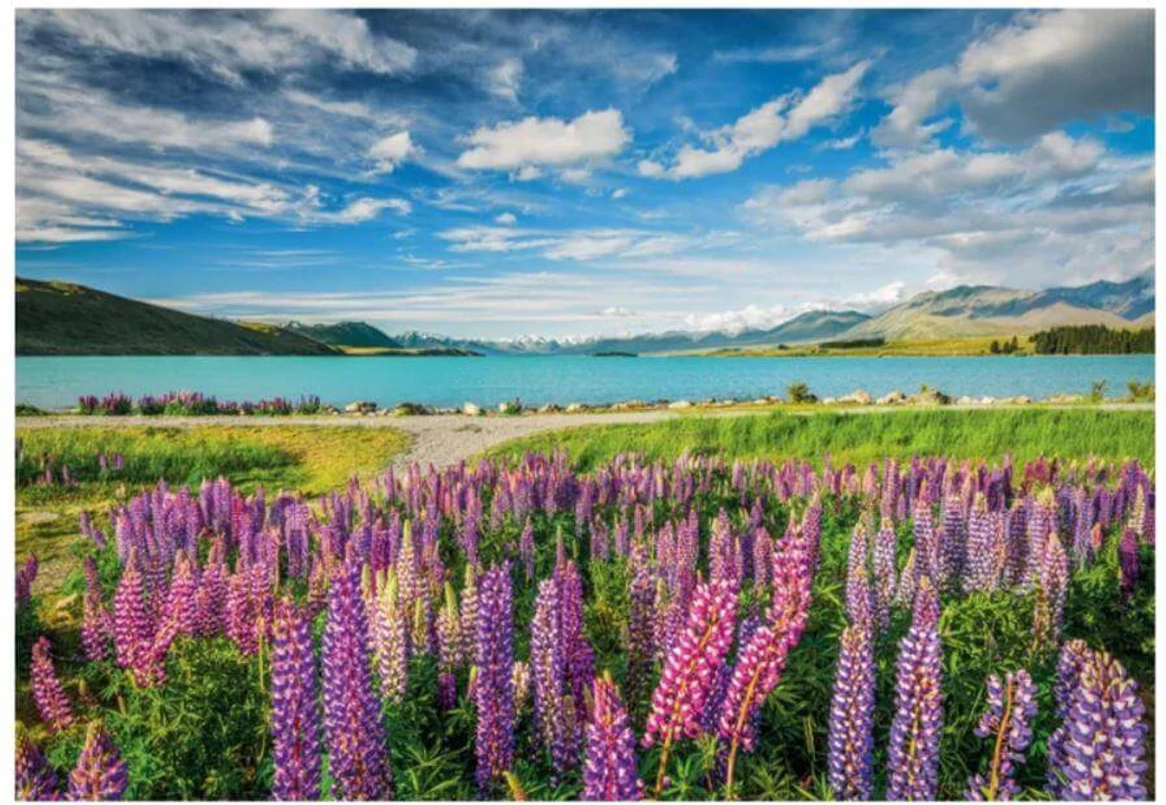 Puzzle Lupiny pri jazere Tekapo