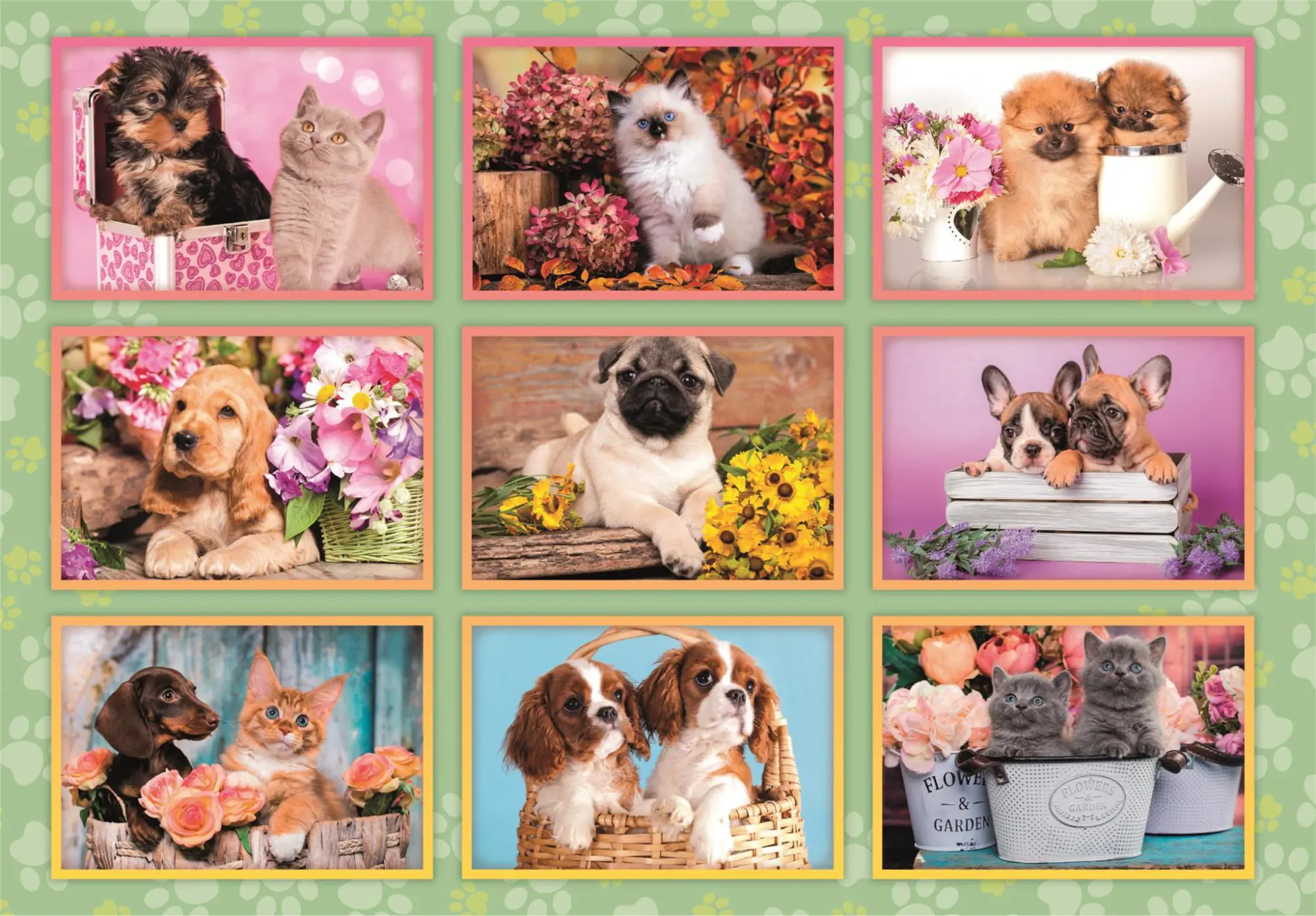 Puzzle Puppies Collage