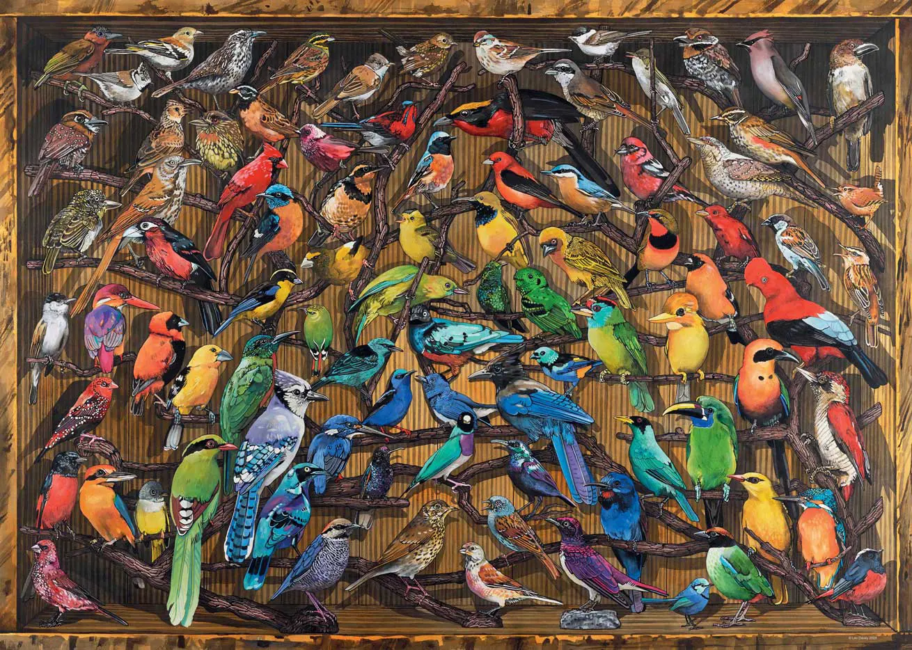 Puzzle Rainbow of Birds