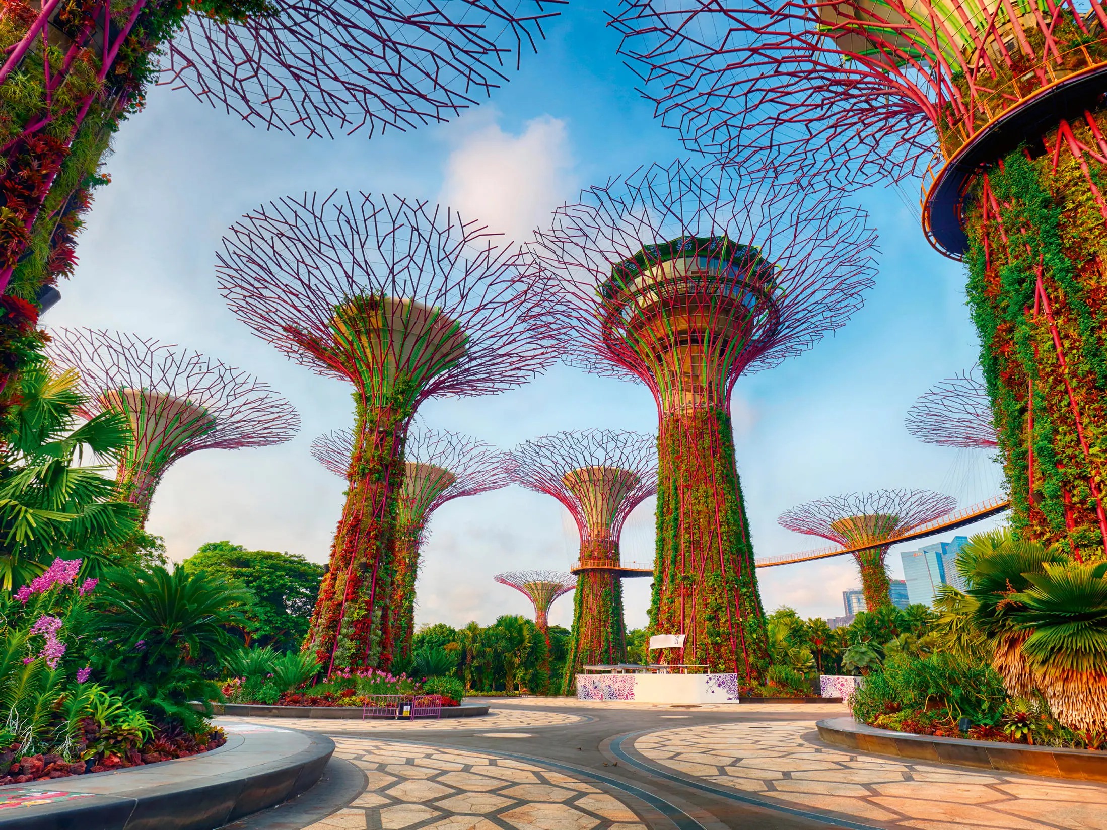 Puzzle Super Trees in Singapore