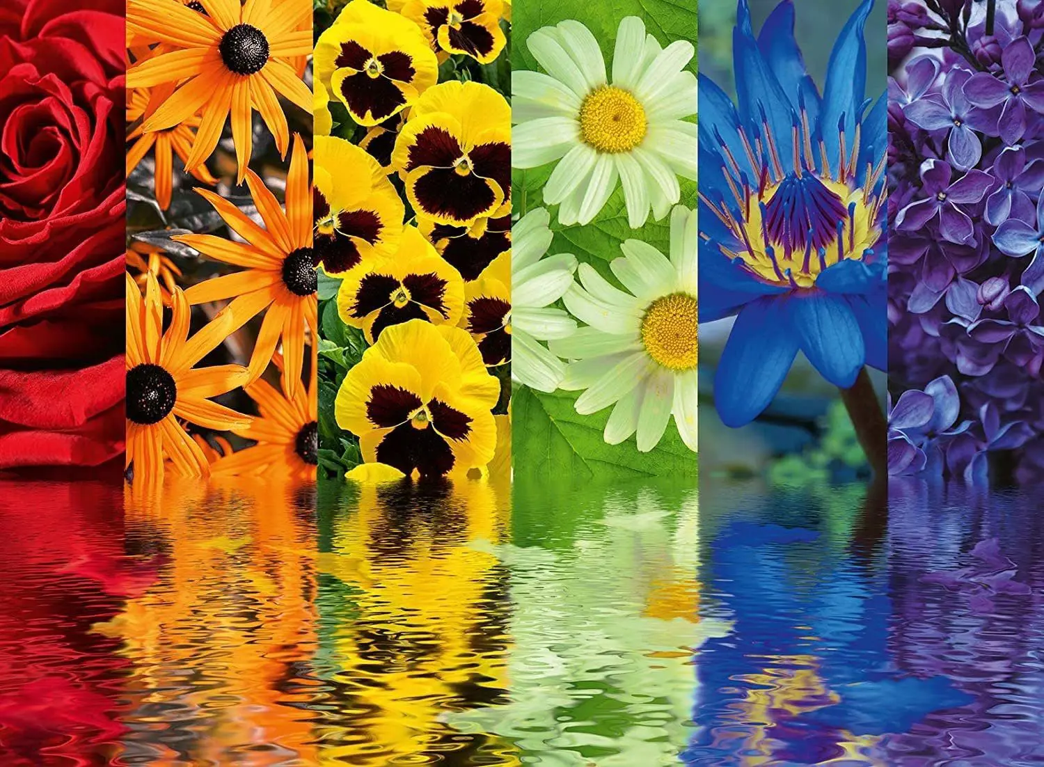 Puzzle Floral Reflection