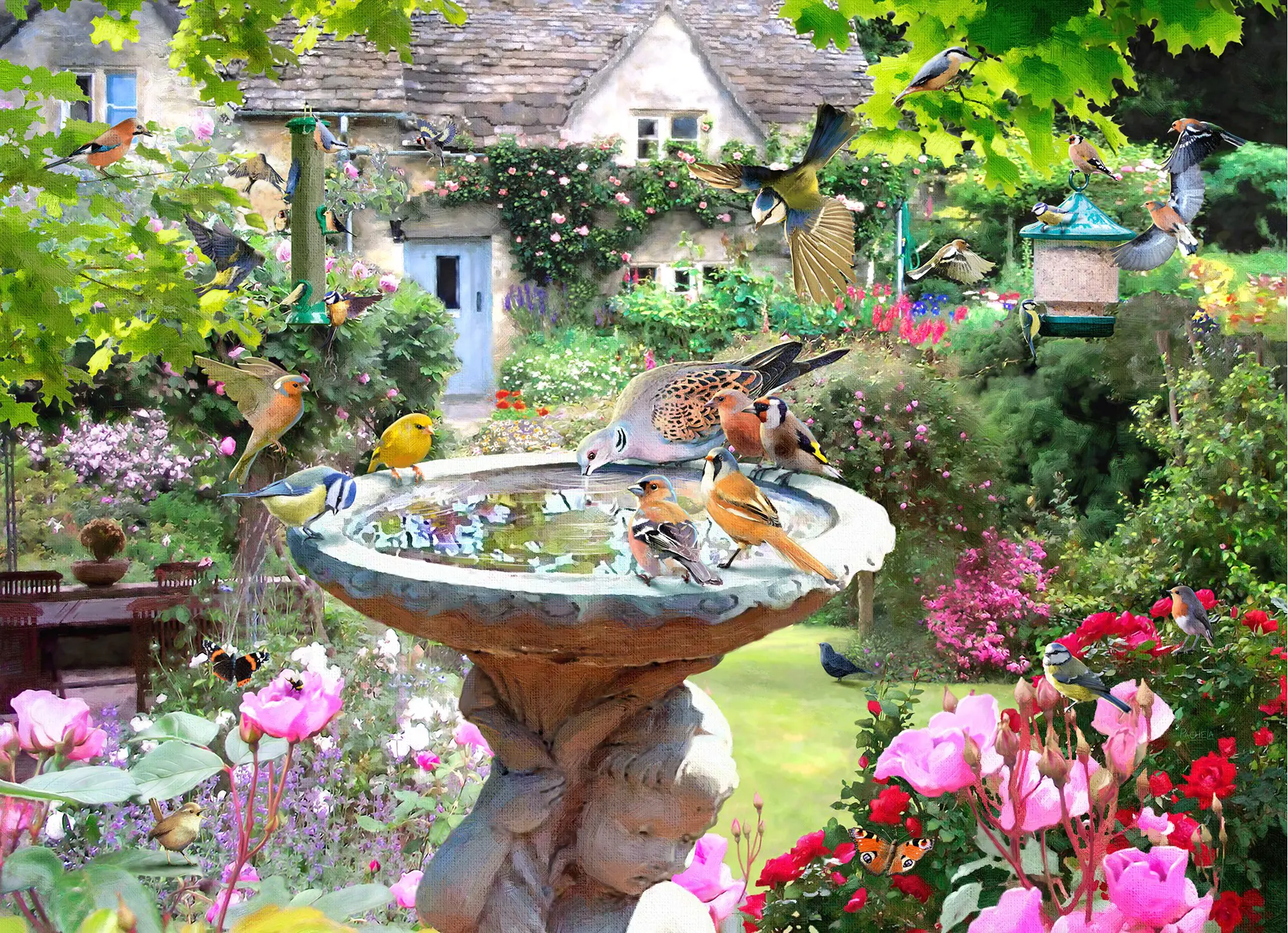 Puzzle Summer Birds