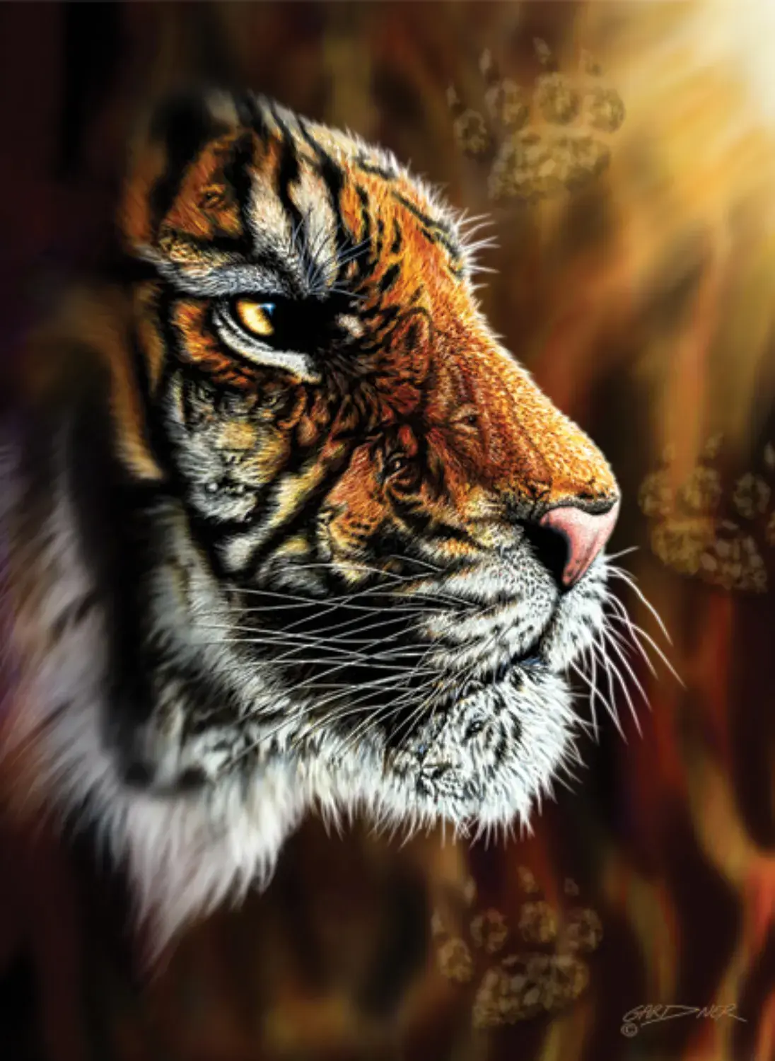Puzzle Divoký tiger