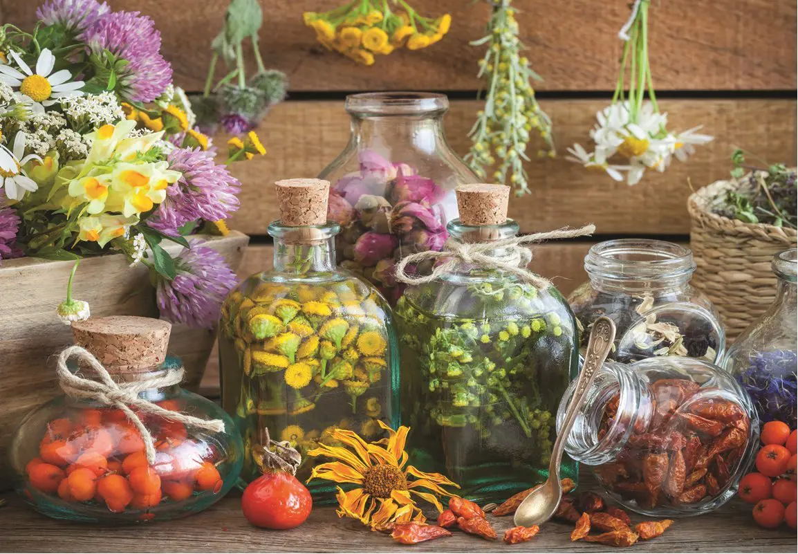 Puzzle Herbal therapy