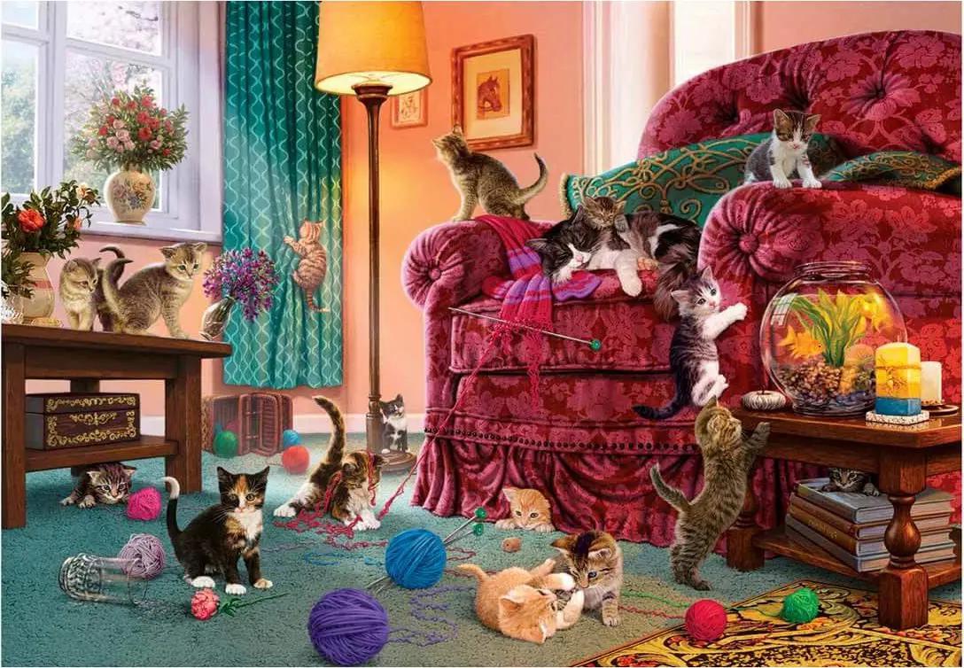 Puzzle Steve Read: Naughty Kittens