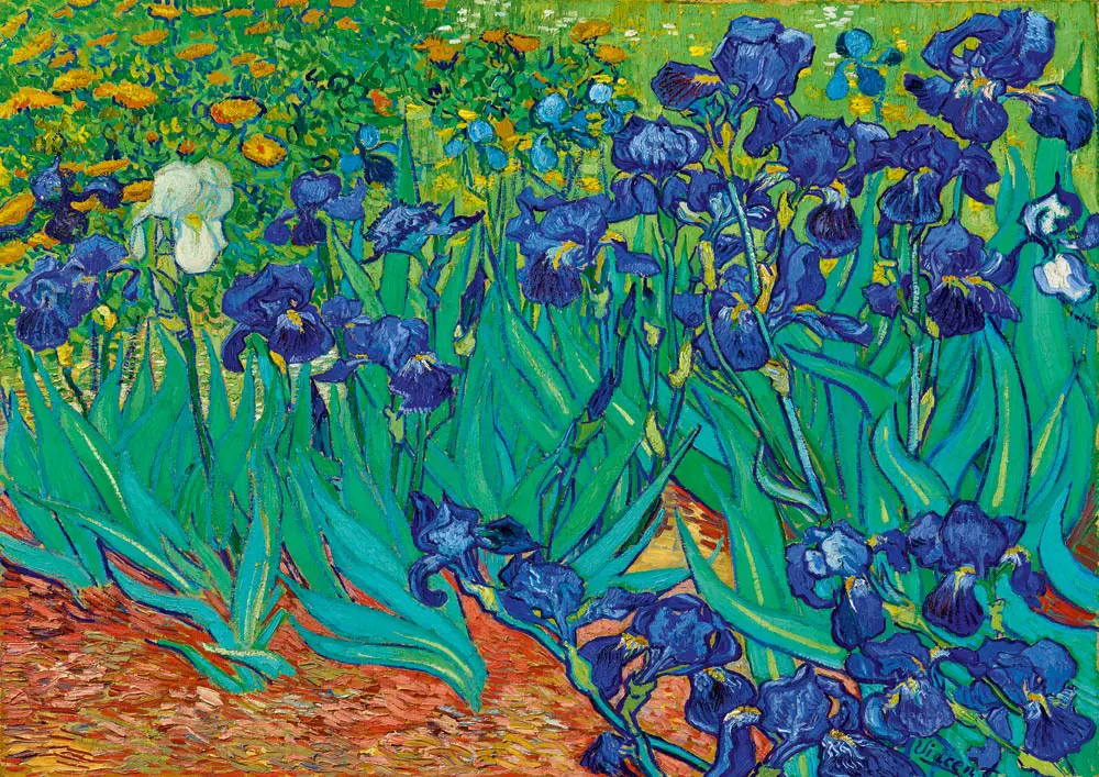 Puzzle Vincent van Gogh: Kosatce