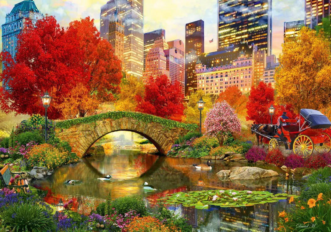 Puzzle Central Park NYC