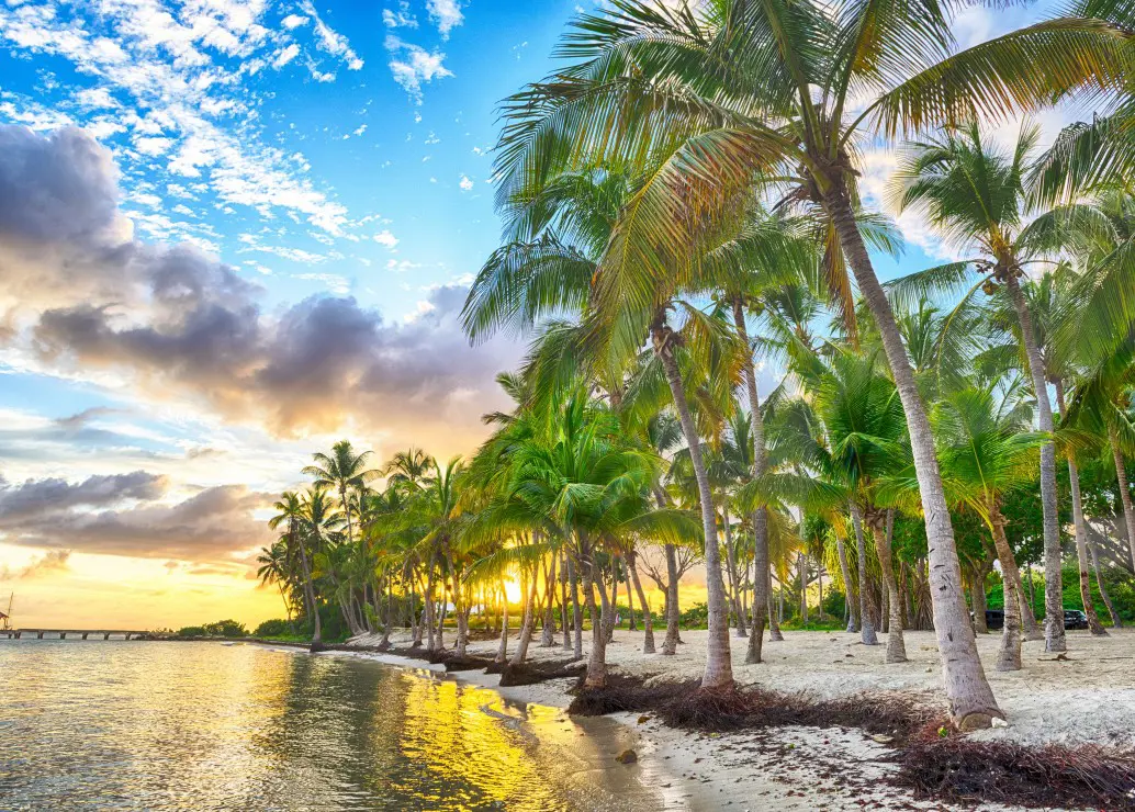 Puzzle Guadeloupe - Anse Champagne