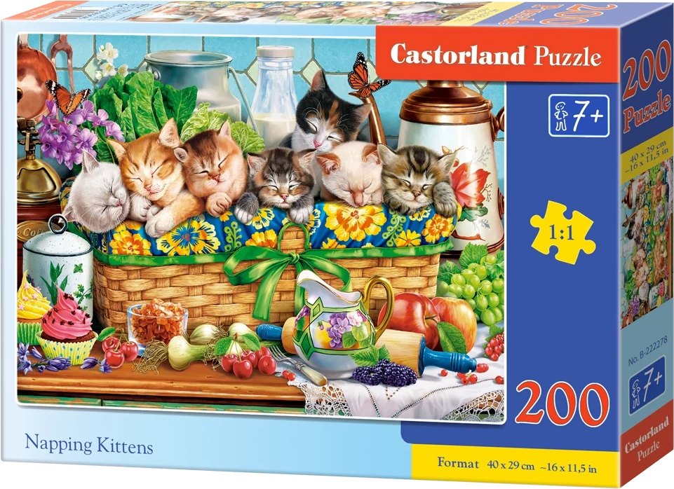 Puzzle Napping Kittens
