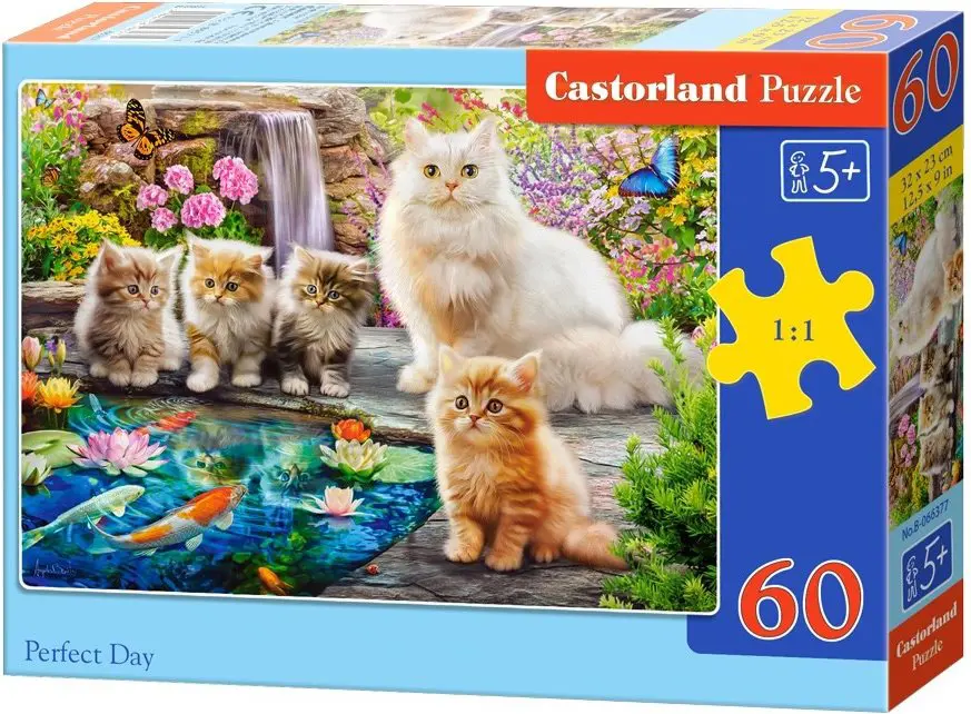 Puzzle  O zi perfectă