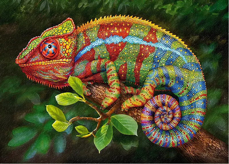 Puzzle Chameleon