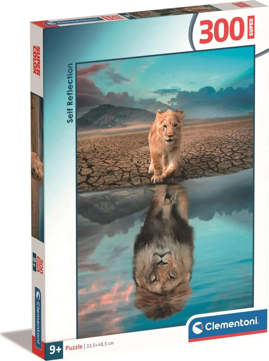 Puzzle Self Reflection