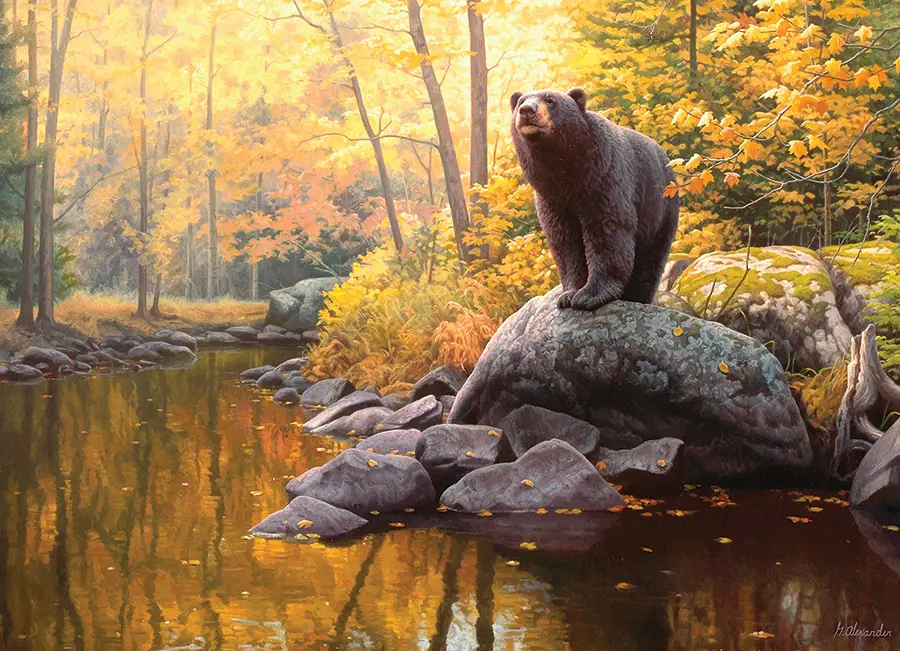 Puzzle Black Bear Pond