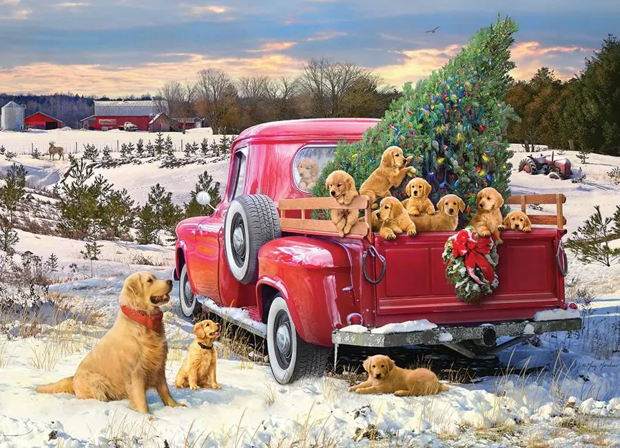 Puzzle Family Outing