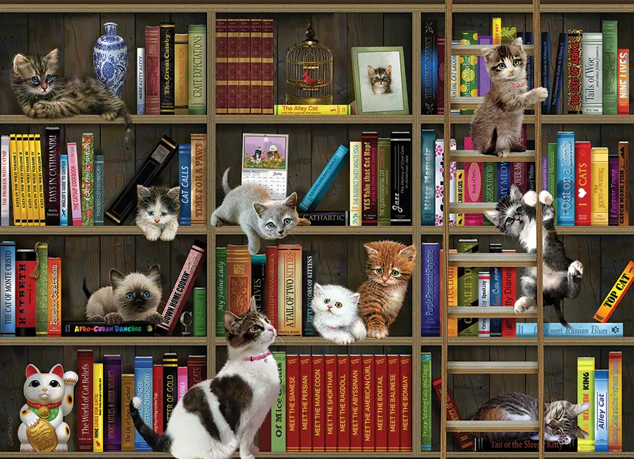 Puzzle Kitty-bibliotekarer