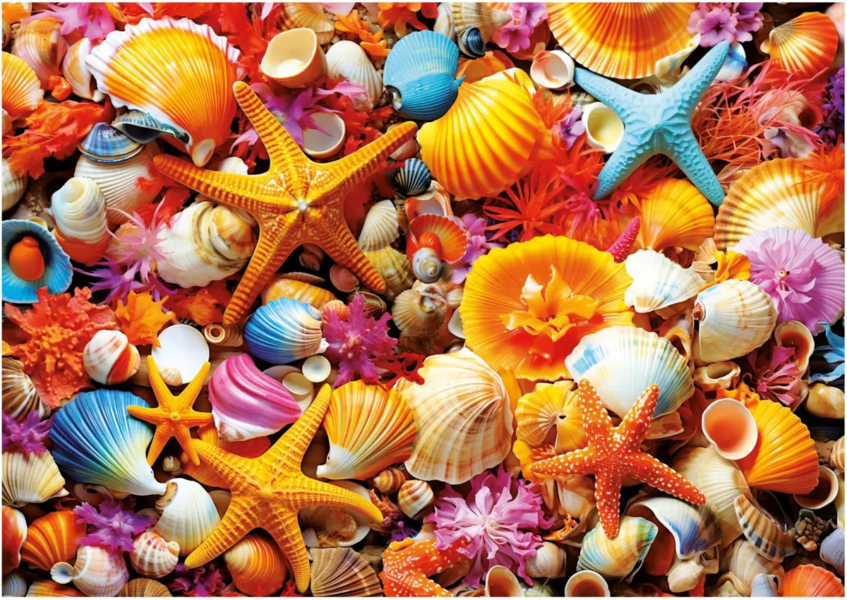 Puzzle Shell Collage
