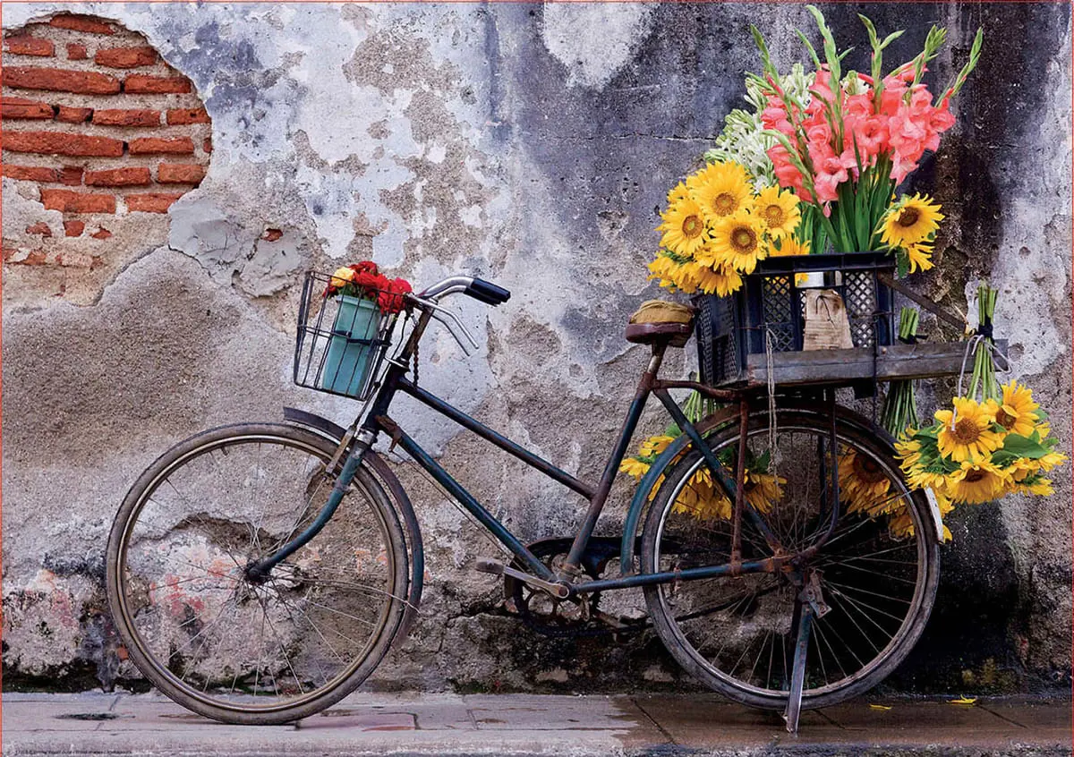 Puzzle Vélo avec des fleurs