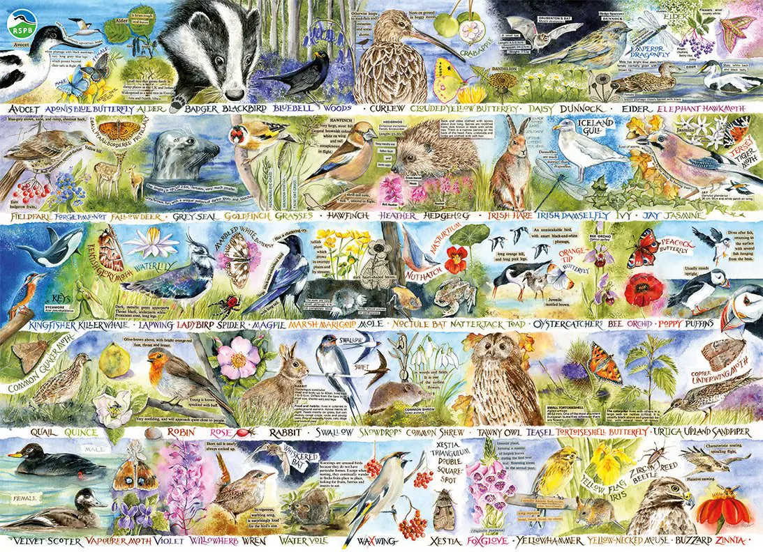 Puzzle Birdsong & Bluebells