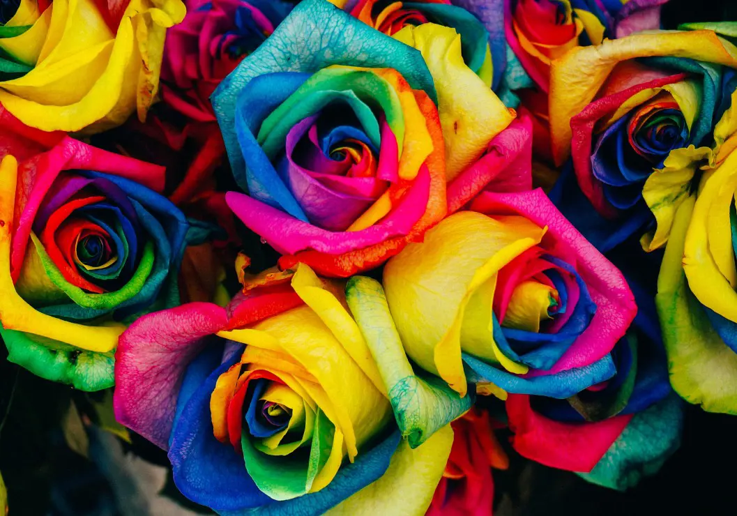 Puzzle Roses