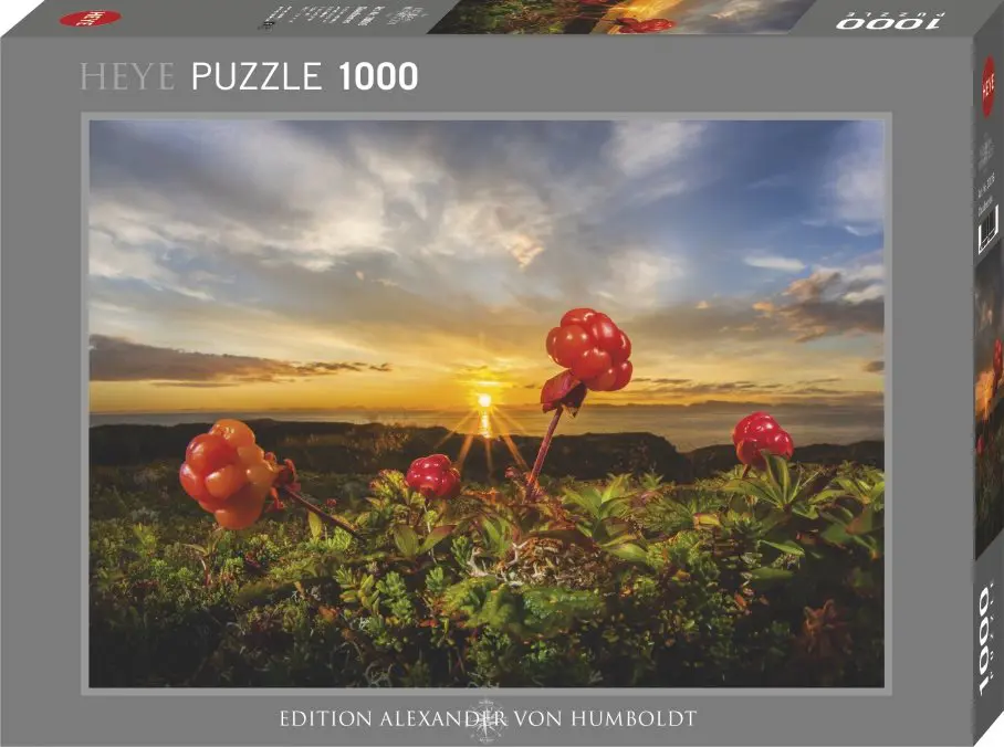 Puzzle Rikardsen: Cloudberries