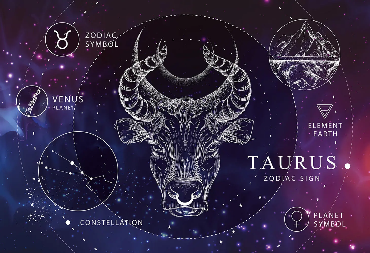 Talamasca Zodiac 3D Vision Psy-Trance 名盤 ゴア/サイケデリックトランス Talamasca / Psychedelic Trance