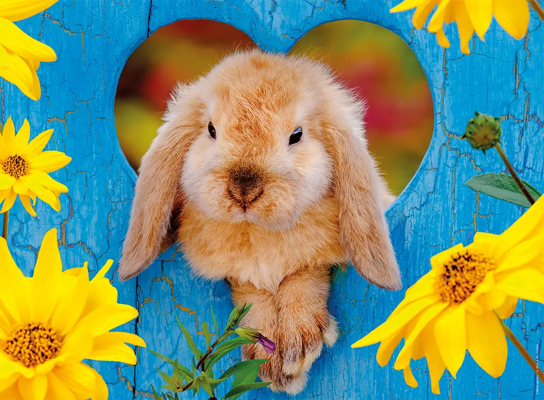 Puzzle Malý trpasličí králik baran