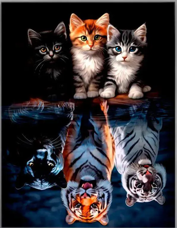 Puzzle Diamantová maľba: Mačky a šelmy 30x40cm