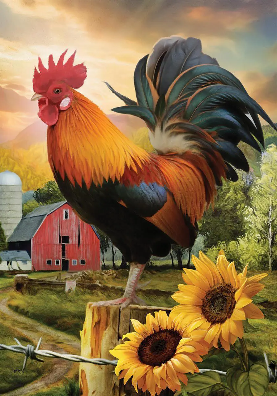 Puzzle Diamantová maľba: Kohút na farme 30x40cm