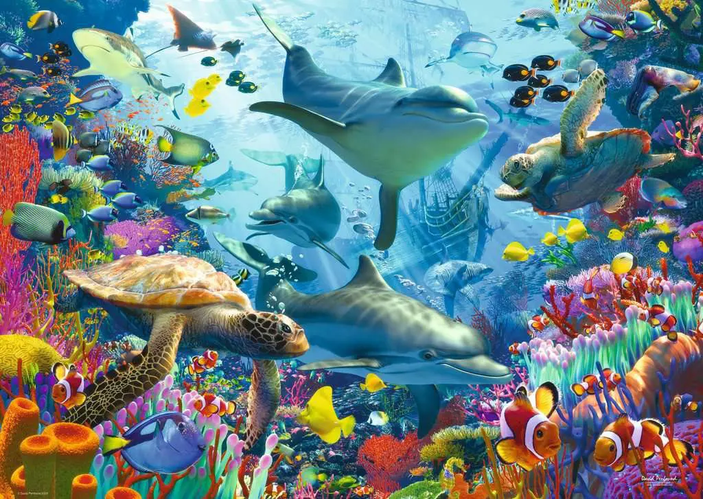 Puzzle Retiro dos Recifes de Coral