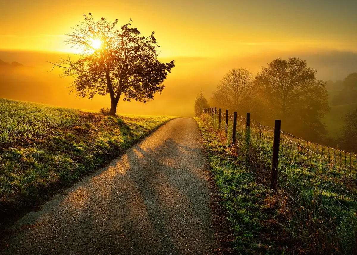Puzzle Landscape in morning sun