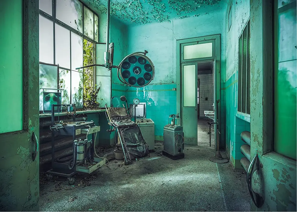Puzzle Lieux perdus : l'asile