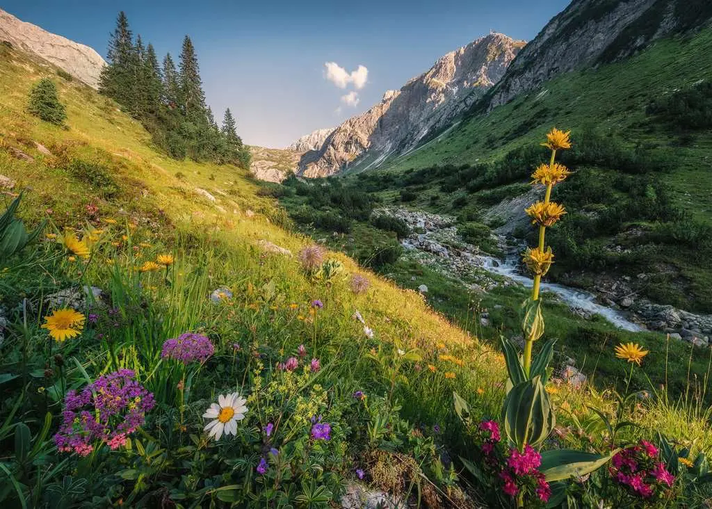 Puzzle Magical Valley