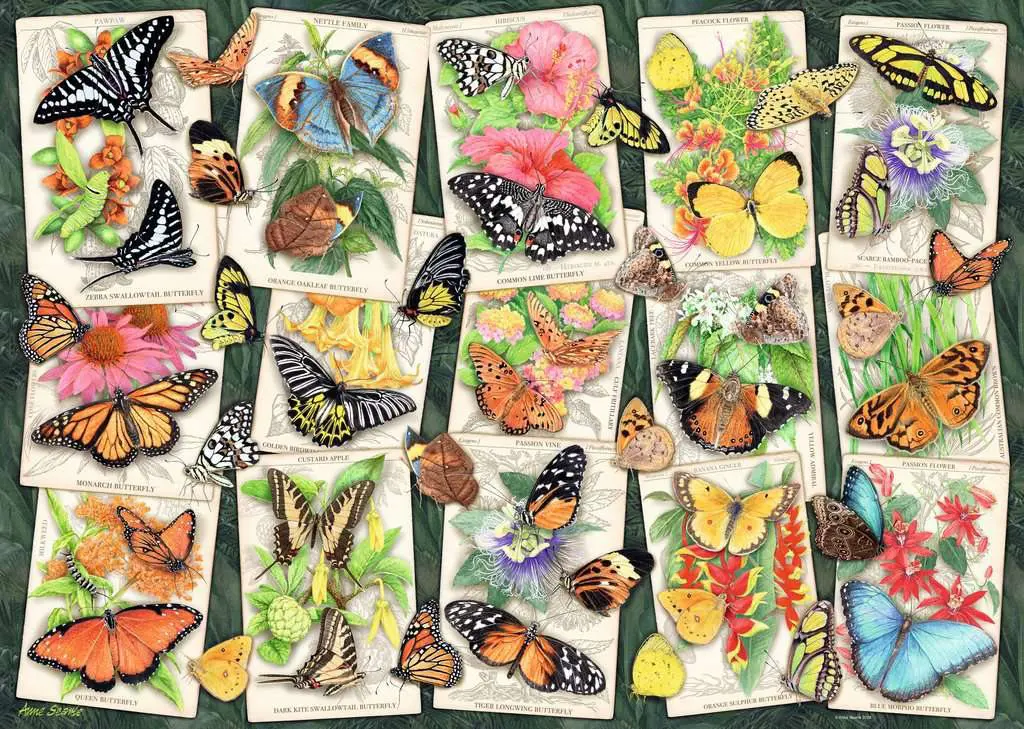 Puzzle  Tropical Butterfly