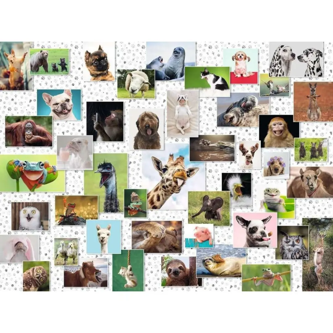 Puzzle Fun pets