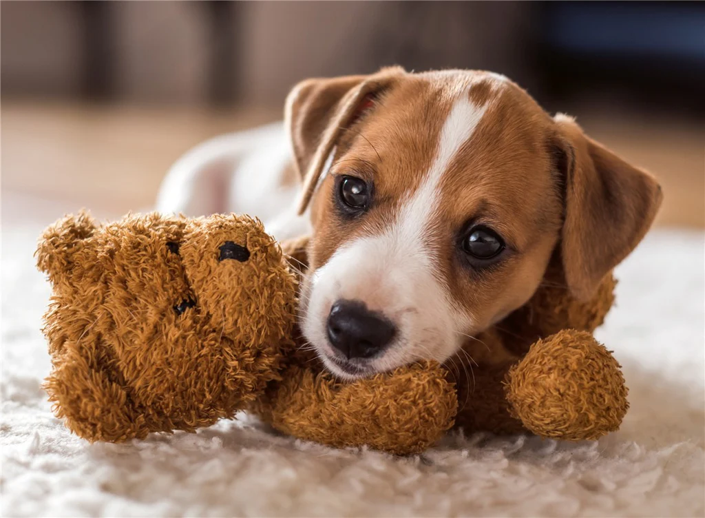 Puzzle A warm hug