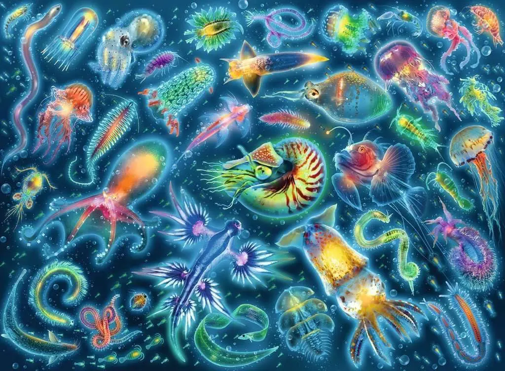 Puzzle Színes víz alatti fajok