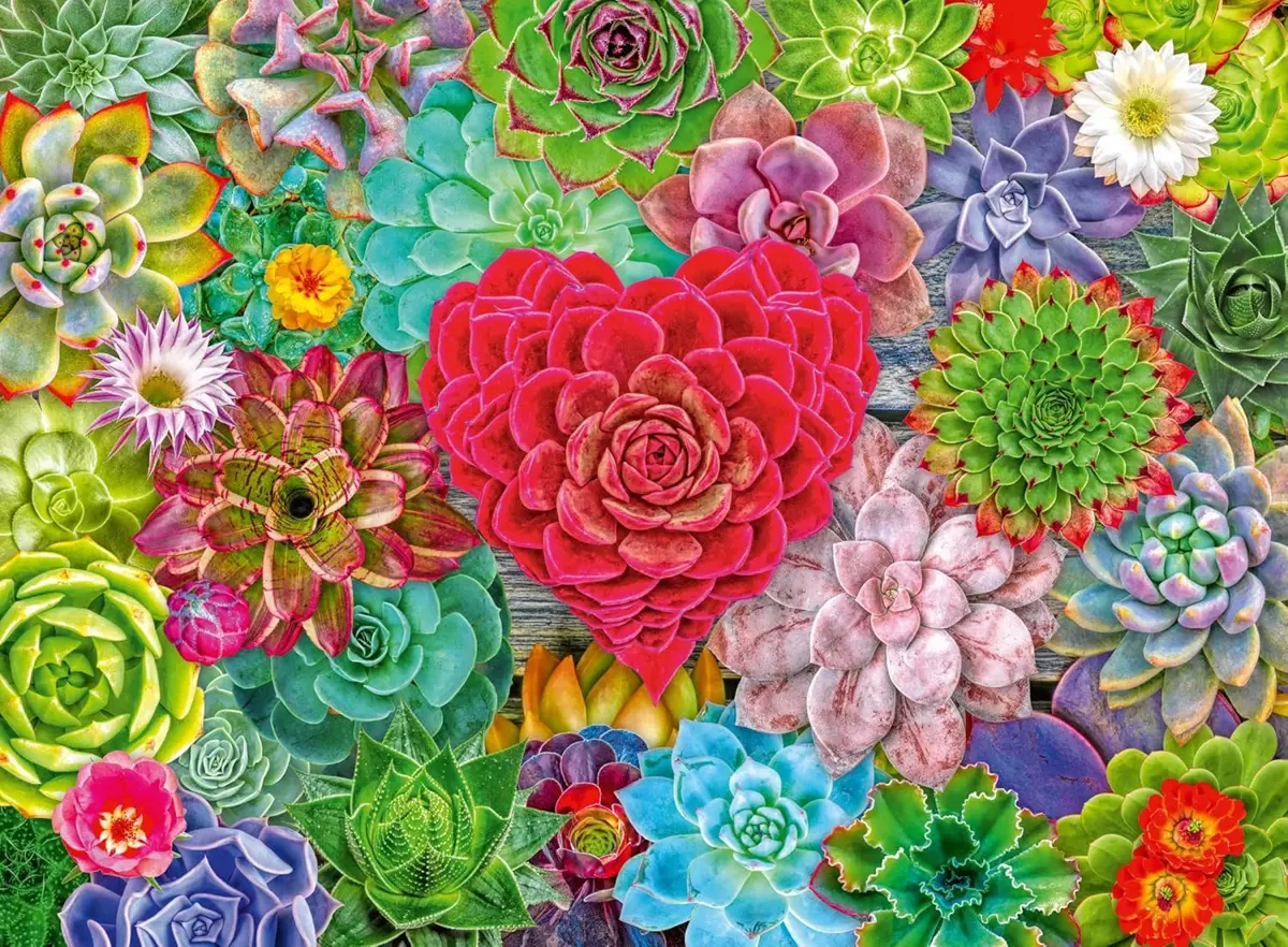 Puzzle Succulent Love