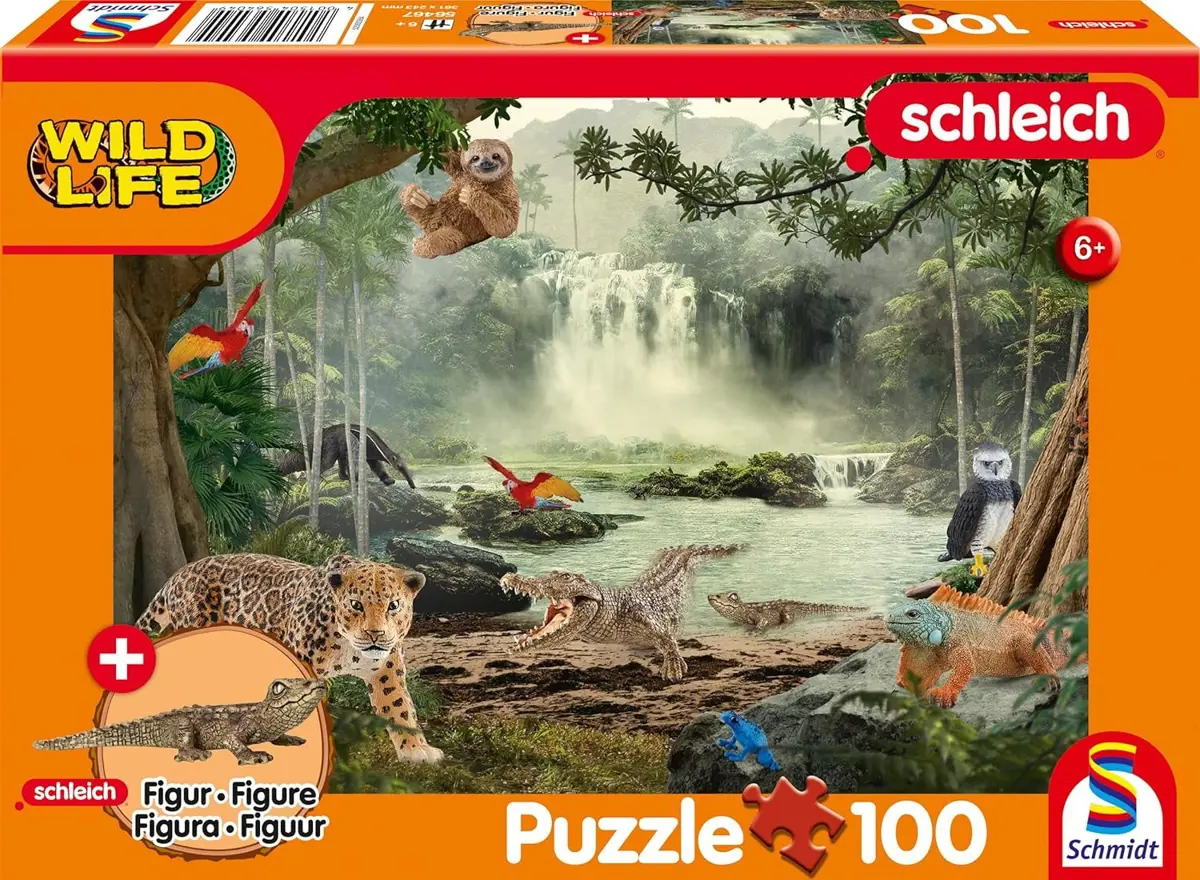 Puzzle In the Rainforest + figure