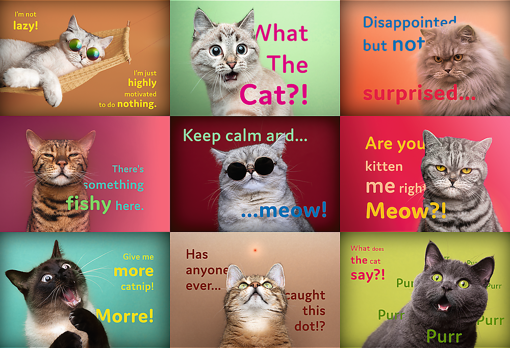 Puzzle Funny Cats Faces