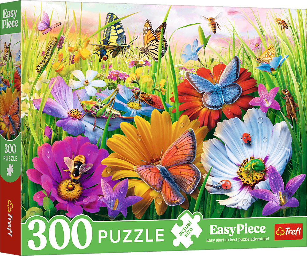 Puzzle Hmyz na lúke