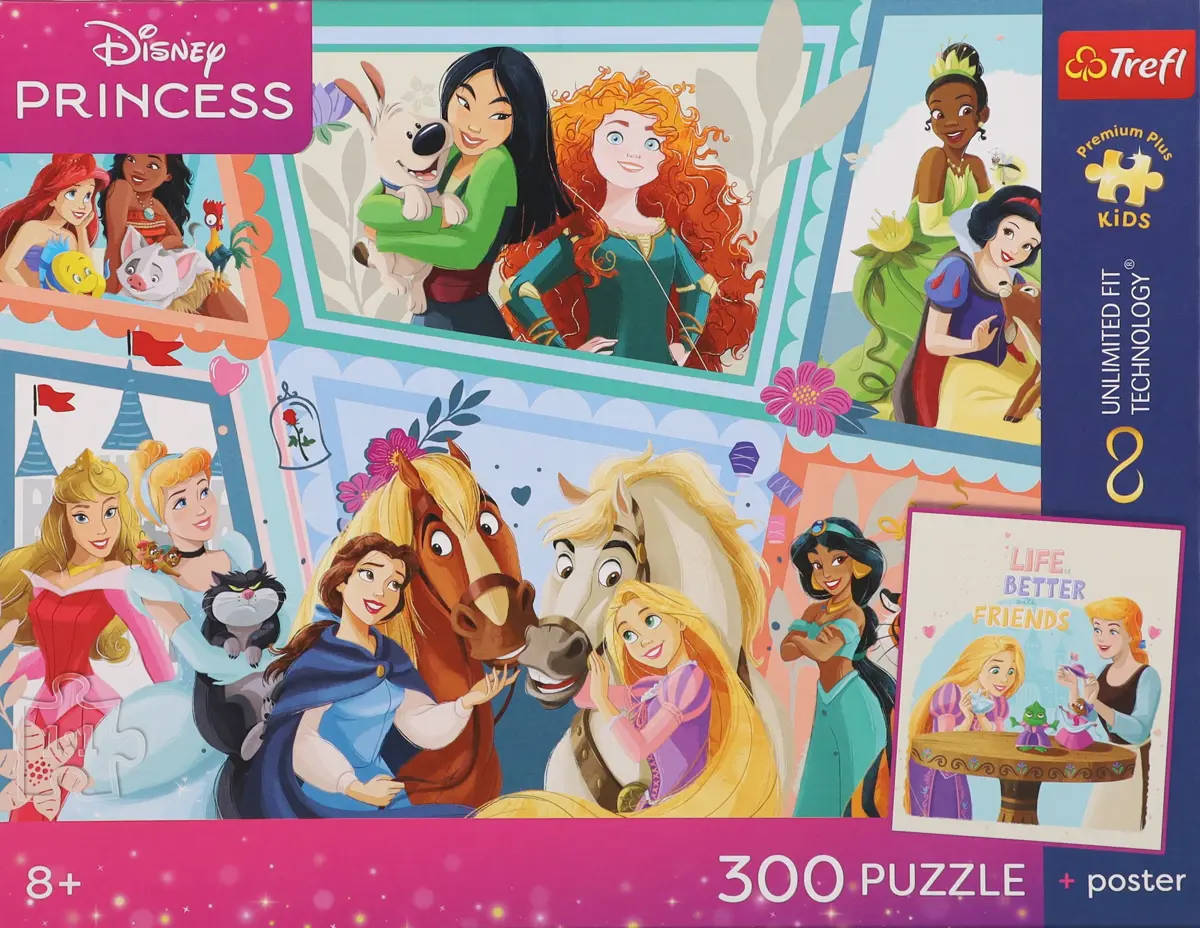 Puzzle Prinses: Een prachtig bal 
