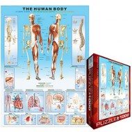 Puzzle Žmogaus kūnas