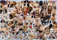 Puzzle Hunde - Collage