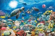 Puzzle Morsko življenje
