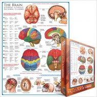 Puzzle Hjerne