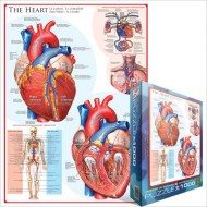 Puzzle Emberi szív