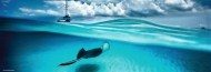 Puzzle Humboldt: Caymanin saari